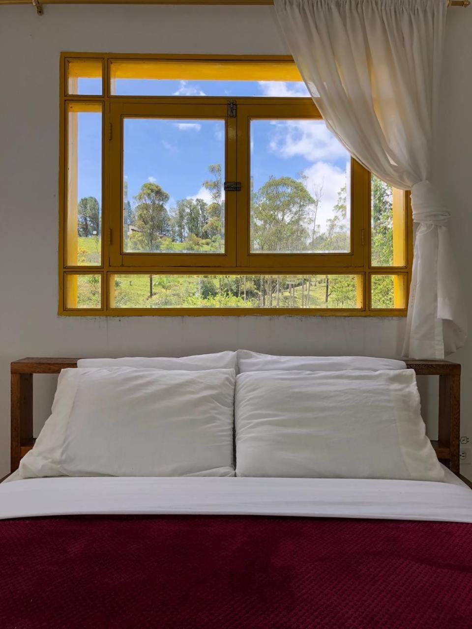 Alegria Hostel Boutique Guatapé Szoba fotó